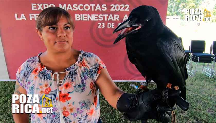 Expo Mascotas Poza Rica 2022