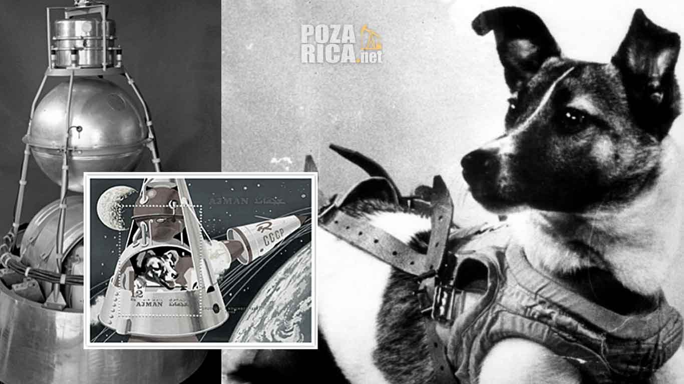 Laika, la pionera canina que abrió el camino al espacio