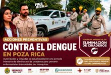 Realizan jornada intensiva para eliminar criaderos de mosquitos en la colonia Palma Sola