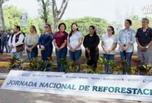 Reforestación: Poza Rica participa en jornada nacional 2026