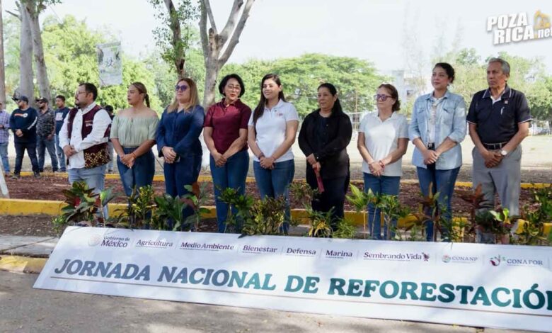 Reforestación: Poza Rica participa en jornada nacional 2026