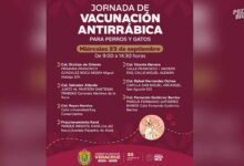 Jornada de vacunación antirrábica gratuita en Poza Rica: fechas y sedes