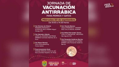 Jornada de vacunación antirrábica gratuita en Poza Rica: fechas y sedes