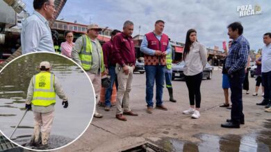 Realizan jornada de limpieza y mantenimiento en la Central de Abastos
